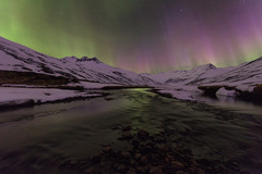 Magic of nature
