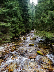 Zátišie