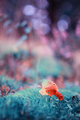 Autumn ♥