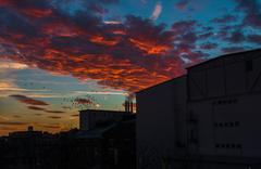 December sunset in Bratislava