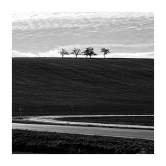 Na horizonte