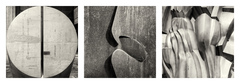 Triptych DU (čb)