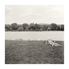 Pozorovateľ vodného vtáctva