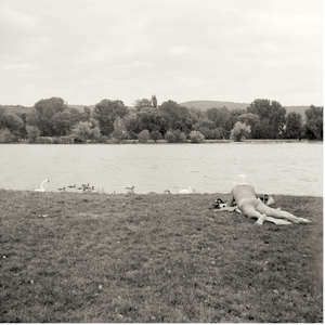 Pozorovateľ vodného vtáctva