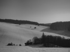 vlnenie