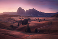 Alpe di Siusi