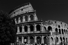 Collosseum