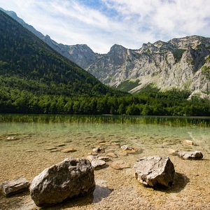 Traumsee