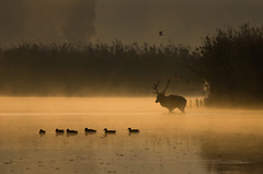 September morning