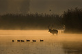 September morning