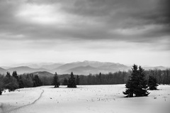 Strážovské vrchy