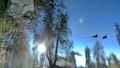Reflexia