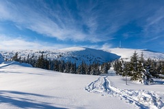 Od Martalúzky