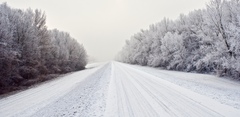 Dunajská cyklohrádza