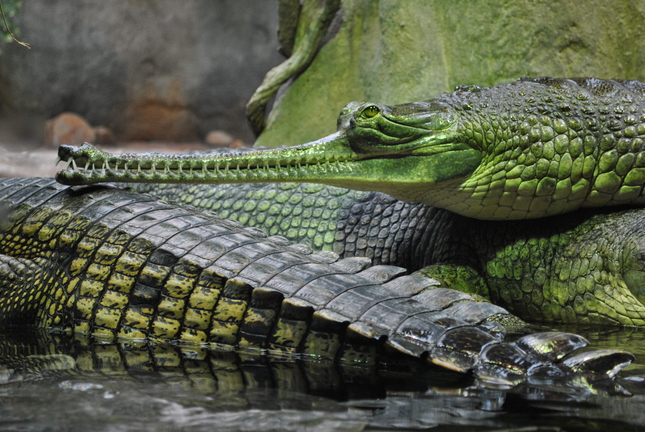 Dlhé čakanie na obed