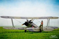 Fog of War