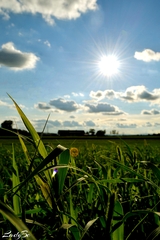 touch the sun
