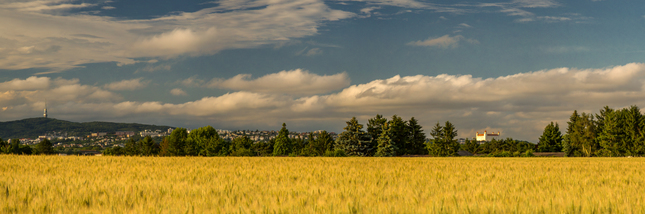 bratislava panorama