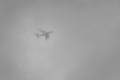 fly