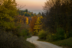 Prechádzka