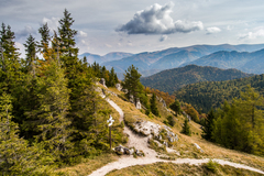 križovatka
