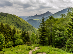 chodníčkom do doliny