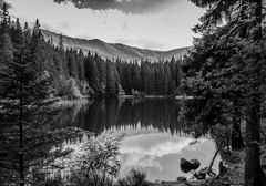 Vrbické pleso