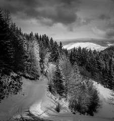 ČB štvorec