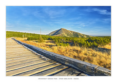 Krkonošský NP, Sněžka