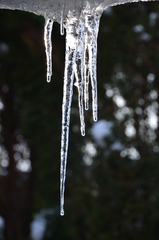 Icicle