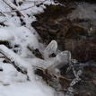 Brook in winter