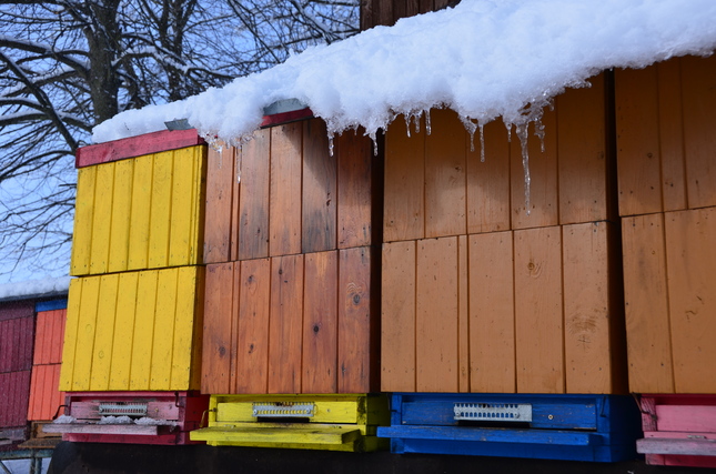 Beehive in winter