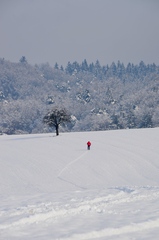 Cross-country skiing