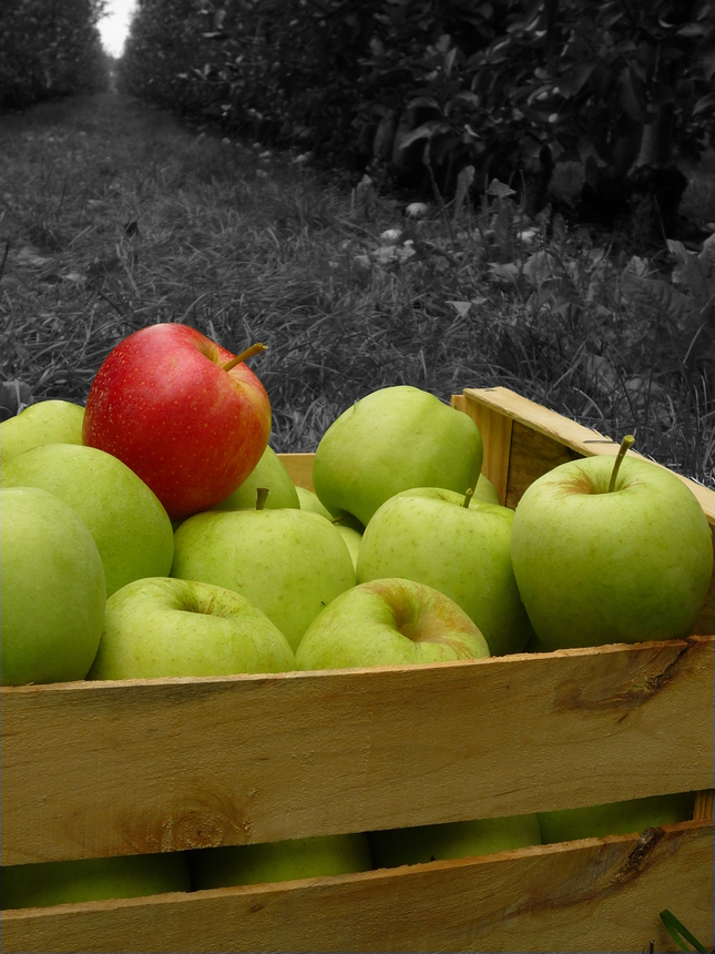 green apples