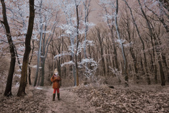 Frozen world