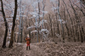 Frozen world