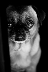 Lucy