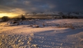 Vysoké Tatry