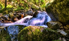 v Látanej doline