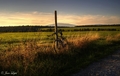 Poľno bike