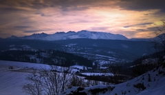 Roháče