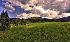 V Tichej doline