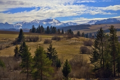 pestrá, jarná , Podtatranská