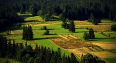 na ,,bitevnom,, poli
