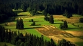 na ,,bitevnom,, poli