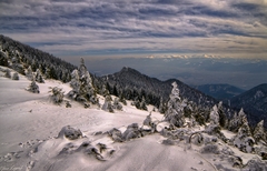 z Choča