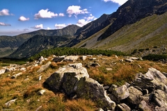 Roháče