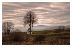 Decembrové polia Oravské...