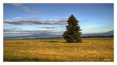 Široko, ďaleko sám ...