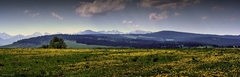 púpavová panoráma